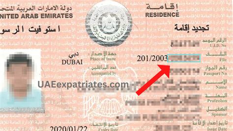 Check if you need a visa to enter the UAE.